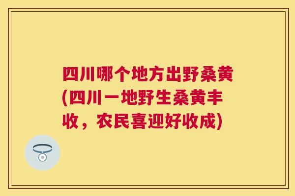 四川哪个地方出野桑黄(四川一地野生桑黄丰收，农民喜迎好收成)