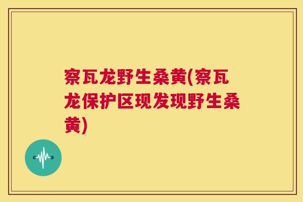 察瓦龙野生桑黄(察瓦龙保护区现发现野生桑黄)