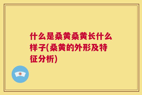 什么是桑黄桑黄长什么样子(桑黄的外形及特征分析) 什么是桑黄桑黄长什么样子(桑黄的外形及特征分析)