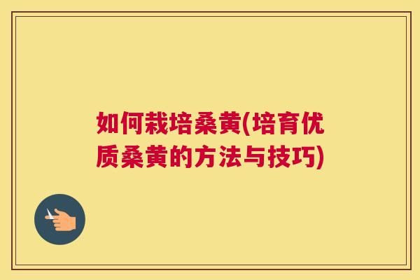 如何栽培桑黄(培育优质桑黄的方法与技巧) 如何栽培桑黄(培育优质桑黄的方法与技巧)