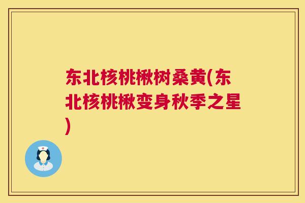 东北核桃楸树桑黄(东北核桃楸变身秋季之星) 东北核桃楸树桑黄(东北核桃楸变身秋季之星)