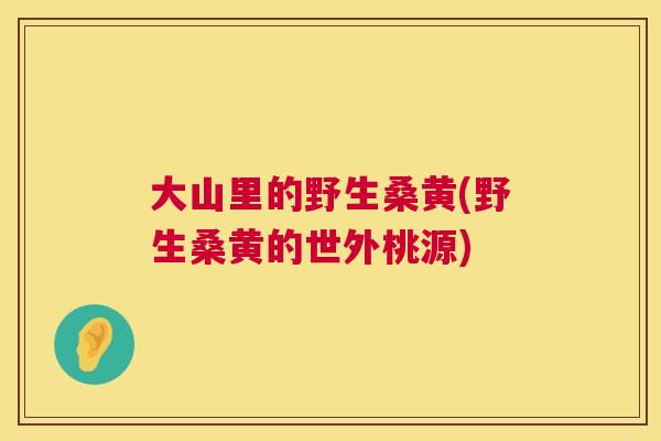 大山里的野生桑黄(野生桑黄的世外桃源) 大山里的野生桑黄(野生桑黄的世外桃源)