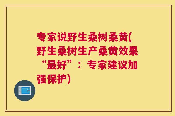 专家说野生桑树桑黄(野生桑树生产桑黄效果“好”:专家建议加强保护) 专家说野生桑树桑黄(野生桑树生产桑黄效果“好”:专家建议加强保护)