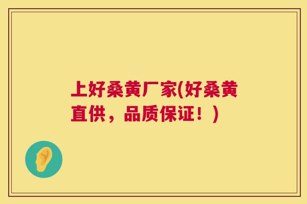 上好桑黄厂家(好桑黄直供,品质保证!) 上好桑黄厂家(好桑黄直供,品质保证!)