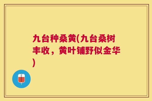 九台种桑黄(九台桑树丰收,黄叶铺野似金华) 九台种桑黄(九台桑树丰收,黄叶铺野似金华)