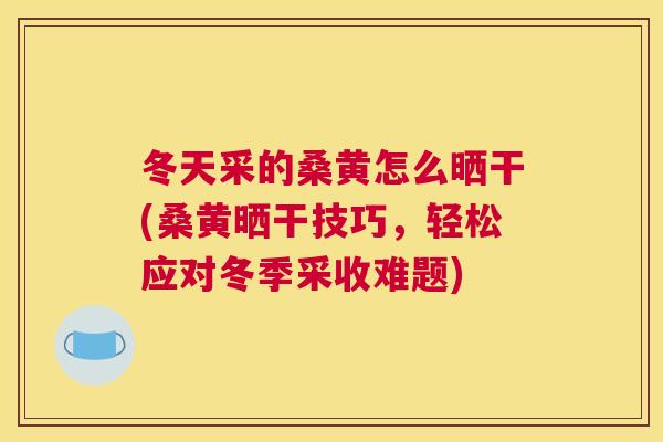 冬天采的桑黄怎么晒干(桑黄晒干技巧,轻松应对冬季采收难题) 冬天采的桑黄怎么晒干(桑黄晒干技巧,轻松应对冬季采收难题)