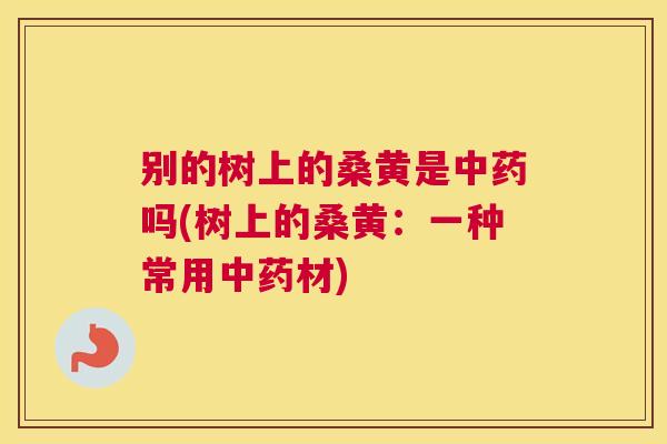 别的树上的桑黄是吗(树上的桑黄:一种常用材) 别的树上的桑黄是吗(树上的桑黄:一种常用材)