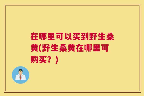 在哪里可以买到野生桑黄(野生桑黄在哪里可购买?) 在哪里可以买到野生桑黄(野生桑黄在哪里可购买?)