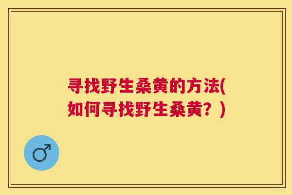 寻找野生桑黄的方法(如何寻找野生桑黄?) 寻找野生桑黄的方法(如何寻找野生桑黄?)
