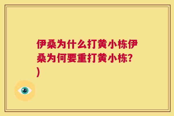 伊桑为什么打黄小栋伊桑为何要重打黄小栋?) 伊桑为什么打黄小栋伊桑为何要重打黄小栋?)