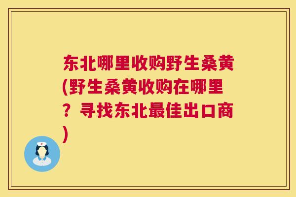 东北哪里收购野生桑黄(野生桑黄收购在哪里?寻找东北佳出口商) 东北哪里收购野生桑黄(野生桑黄收购在哪里?寻找东北佳出口商)