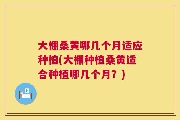 大棚桑黄哪几个月适应种植(大棚种植桑黄适合种植哪几个月?) 大棚桑黄哪几个月适应种植(大棚种植桑黄适合种植哪几个月?)