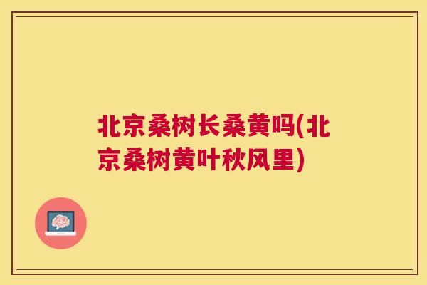北京桑树长桑黄吗(北京桑树黄叶秋风里) 北京桑树长桑黄吗(北京桑树黄叶秋风里)