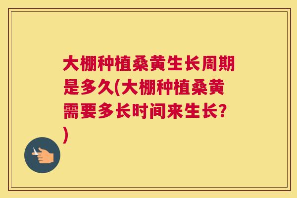 大棚种植桑黄生长周期是多久(大棚种植桑黄需要多长时间来生长?) 大棚种植桑黄生长周期是多久(大棚种植桑黄需要多长时间来生长?)