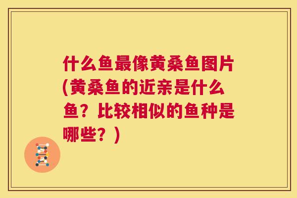 什么鱼像黄桑鱼图片(黄桑鱼的近亲是什么鱼?比较相似的鱼种是哪些?) 什么鱼像黄桑鱼图片(黄桑鱼的近亲是什么鱼?比较相似的鱼种是哪些?)