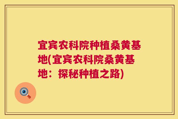 宜宾农科院种植桑黄基地(宜宾农科院桑黄基地:探秘种植之路) 宜宾农科院种植桑黄基地(宜宾农科院桑黄基地:探秘种植之路)