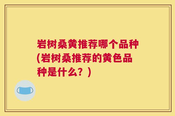 岩树桑黄推荐哪个品种(岩树桑推荐的黄色品种是什么?) 岩树桑黄推荐哪个品种(岩树桑推荐的黄色品种是什么?)