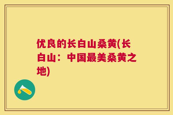 优良的长白山桑黄(长白山:中国美桑黄之地) 优良的长白山桑黄(长白山:中国美桑黄之地)
