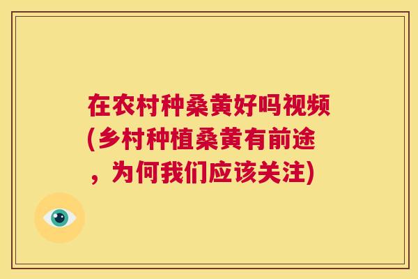 在农村种桑黄好吗视频(乡村种植桑黄有前途,为何我们应该关注) 在农村种桑黄好吗视频(乡村种植桑黄有前途,为何我们应该关注)