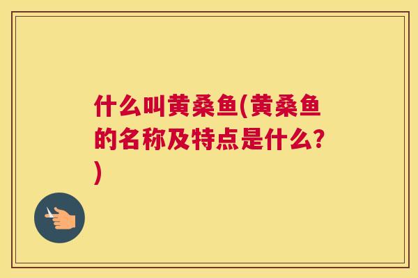 什么叫黄桑鱼(黄桑鱼的名称及特点是什么?) 什么叫黄桑鱼(黄桑鱼的名称及特点是什么?)