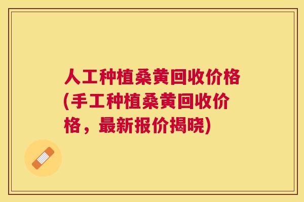 人工种植桑黄回收价格(手工种植桑黄回收价格,新报价揭晓) 人工种植桑黄回收价格(手工种植桑黄回收价格,新报价揭晓)