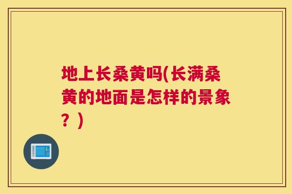 地上长桑黄吗(长满桑黄的地面是怎样的景象？)