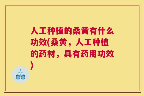 人工种植的桑黄有什么功效(桑黄,人工种植的药材,具有药用功效) 人工种植的桑黄有什么功效(桑黄,人工种植的药材,具有药用功效)