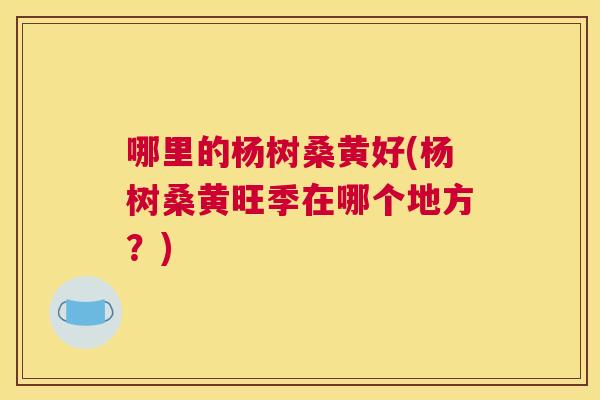 哪里的杨树桑黄好(杨树桑黄旺季在哪个地方？)