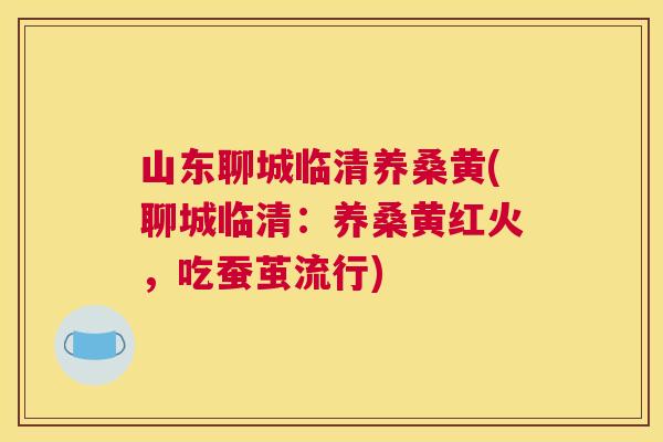 山东聊城临清养桑黄(聊城临清:养桑黄红火,吃蚕茧流行) 山东聊城临清养桑黄(聊城临清:养桑黄红火,吃蚕茧流行)