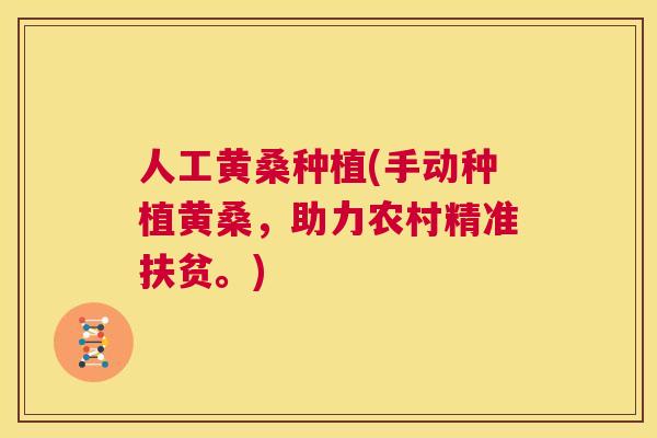 人工黄桑种植(手动种植黄桑,助力农村精准扶贫。) 人工黄桑种植(手动种植黄桑,助力农村精准扶贫。)