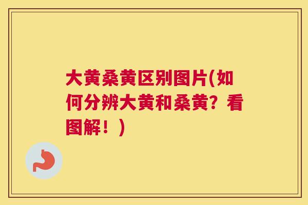 大黄桑黄区别图片(如何分辨大黄和桑黄？看图解！)