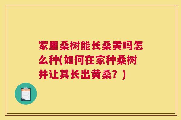 家里桑树能长桑黄吗怎么种(如何在家种桑树并让其长出黄桑?) 家里桑树能长桑黄吗怎么种(如何在家种桑树并让其长出黄桑?)