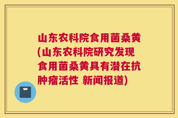 山东农科院食用菌桑黄(山东农科院研究发现食用菌桑黄具有潜在抗活性 新闻报道) 山东农科院食用菌桑黄(山东农科院研究发现食用菌桑黄具有潜在抗活性 新闻报道)