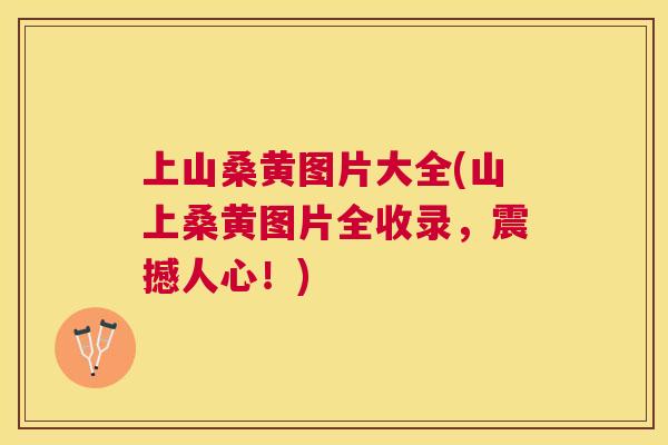 上山桑黄图片大全(山上桑黄图片全收录,震撼人心!) 上山桑黄图片大全(山上桑黄图片全收录,震撼人心!)