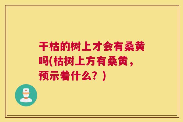 干枯的树上才会有桑黄吗(枯树上方有桑黄,预示着什么?) 干枯的树上才会有桑黄吗(枯树上方有桑黄,预示着什么?)