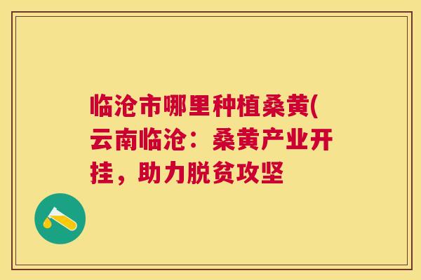 临沧市哪里种植桑黄(云南临沧:桑黄产业开挂,助力脱贫攻坚 临沧市哪里种植桑黄(云南临沧:桑黄产业开挂,助力脱贫攻坚