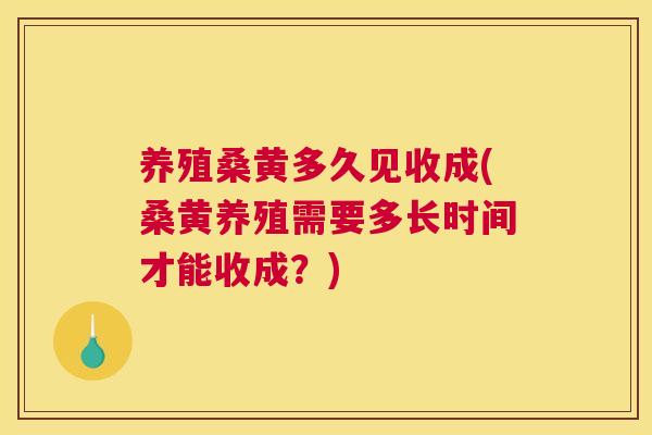 养殖桑黄多久见收成(桑黄养殖需要多长时间才能收成?) 养殖桑黄多久见收成(桑黄养殖需要多长时间才能收成?)