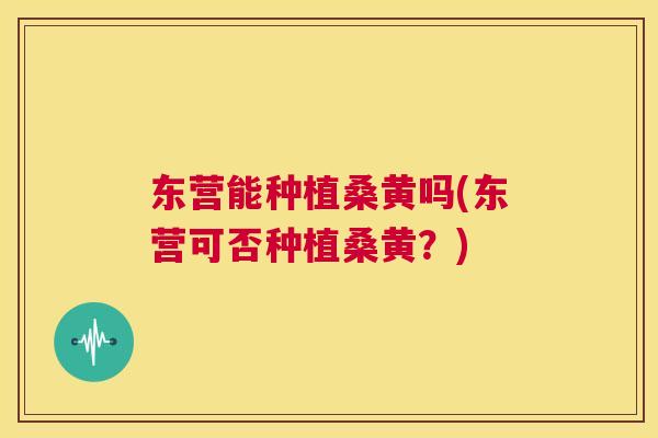 东营能种植桑黄吗(东营可否种植桑黄?) 东营能种植桑黄吗(东营可否种植桑黄?)
