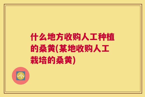 什么地方收购人工种植的桑黄(某地收购人工栽培的桑黄) 什么地方收购人工种植的桑黄(某地收购人工栽培的桑黄)