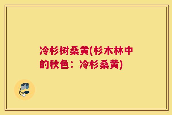 冷杉树桑黄(杉木林中的秋色:冷杉桑黄) 冷杉树桑黄(杉木林中的秋色:冷杉桑黄)