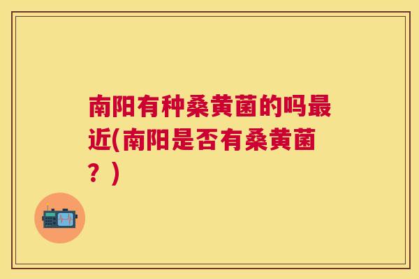 南阳有种桑黄菌的吗近(南阳是否有桑黄菌?) 南阳有种桑黄菌的吗近(南阳是否有桑黄菌?)