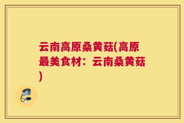 云南高原桑黄菇(高原美食材:云南桑黄菇) 云南高原桑黄菇(高原美食材:云南桑黄菇)