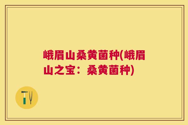 峨眉山桑黄菌种(峨眉山之宝:桑黄菌种) 峨眉山桑黄菌种(峨眉山之宝:桑黄菌种)
