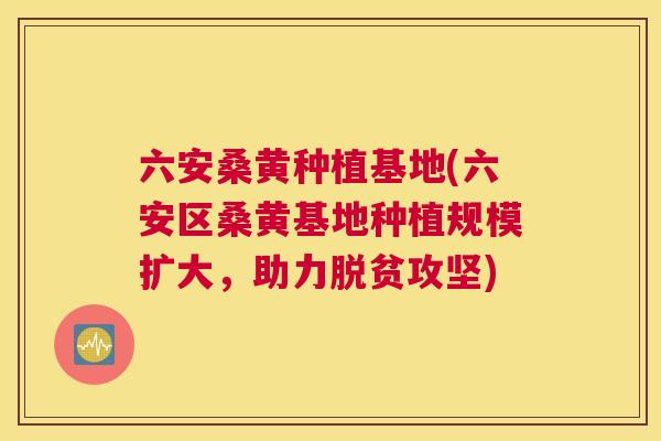 六安桑黄种植基地(六安区桑黄基地种植规模扩大,助力脱贫攻坚) 六安桑黄种植基地(六安区桑黄基地种植规模扩大,助力脱贫攻坚)