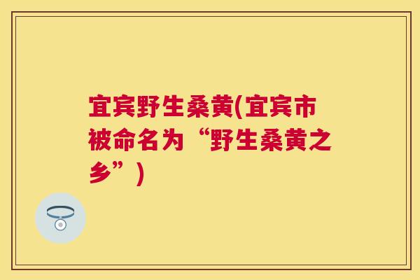 宜宾野生桑黄(宜宾市被命名为“野生桑黄之乡”) 宜宾野生桑黄(宜宾市被命名为“野生桑黄之乡”)