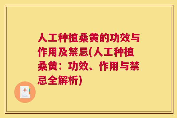 人工种植桑黄的功效与作用及禁忌(人工种植桑黄:功效、作用与禁忌全解析) 人工种植桑黄的功效与作用及禁忌(人工种植桑黄:功效、作用与禁忌全解析)