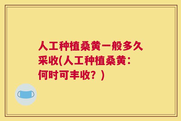 人工种植桑黄一般多久采收(人工种植桑黄:何时可丰收?) 人工种植桑黄一般多久采收(人工种植桑黄:何时可丰收?)