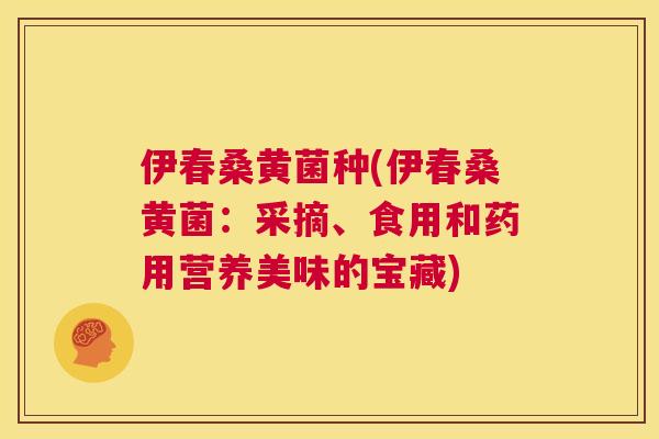 伊春桑黄菌种(伊春桑黄菌:采摘、食用和药用营养美味的宝藏) 伊春桑黄菌种(伊春桑黄菌:采摘、食用和药用营养美味的宝藏)
