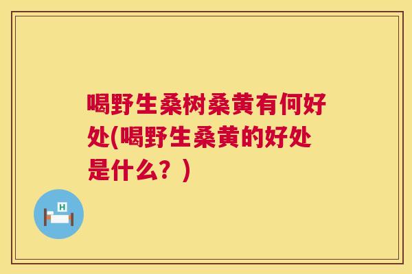 喝野生桑树桑黄有何好处(喝野生桑黄的好处是什么?) 喝野生桑树桑黄有何好处(喝野生桑黄的好处是什么?)