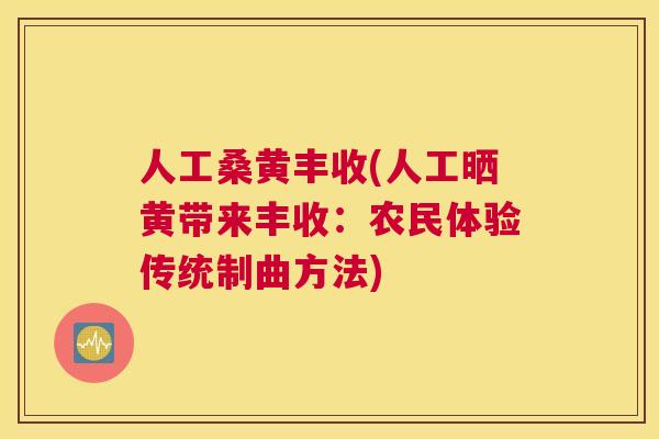 人工桑黄丰收(人工晒黄带来丰收:农民体验传统制曲方法) 人工桑黄丰收(人工晒黄带来丰收:农民体验传统制曲方法)